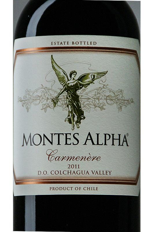 Veinipudeli sildistamise masin Tšiili Santa Maria elektriline juht